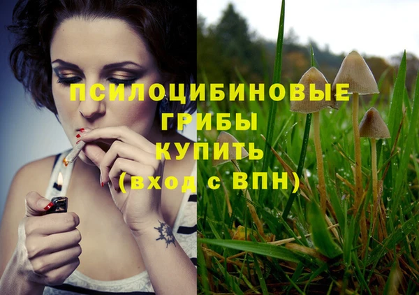 герыч Новозыбков