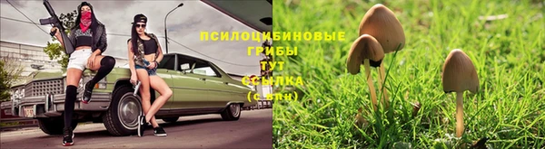 кокс Нефтекумск