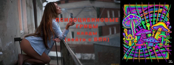 герыч Новозыбков