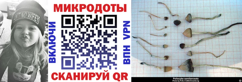 Галлюциногенные грибы Psilocybine cubensis  цены наркотик  Коркино 