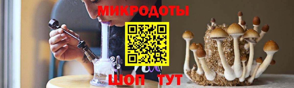 Галлюциногенные грибы Psilocybe Коркино