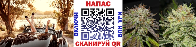 где купить маркетплейс клад Бошки Шишки ГИДРОПОН Коркино